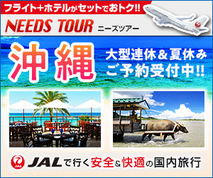 JALで行く、格安国内旅行なら【ニーズツアー】